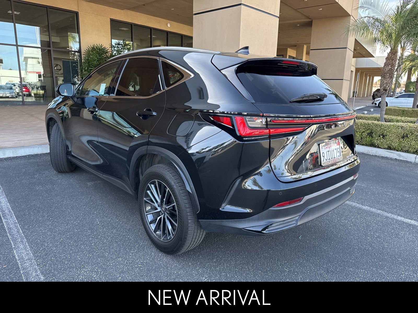 2024 LEXUS NX NX 350h Premium photo 4