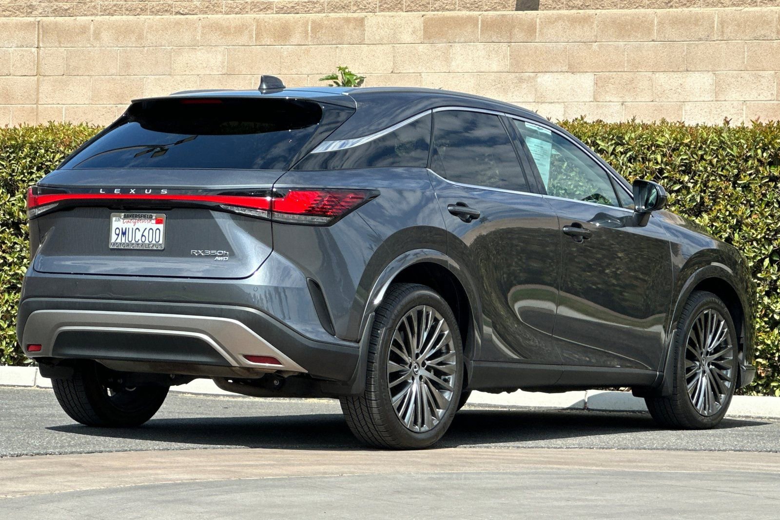 2024 Lexus RX 350h Luxury photo 2