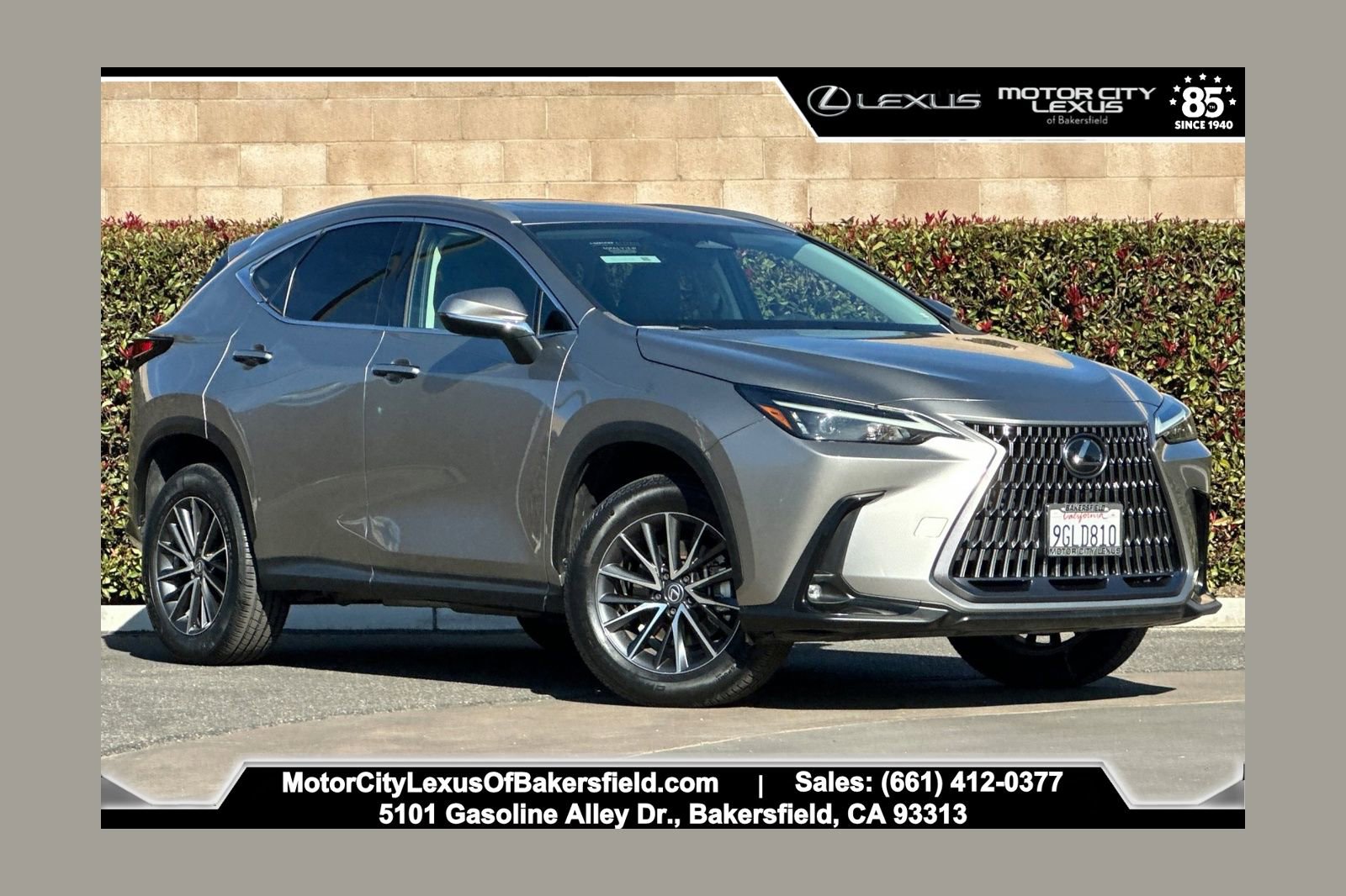 2024 Lexus NX Hybrid 350h's photo