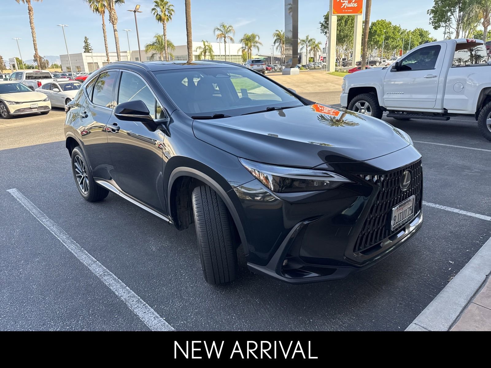 2024 LEXUS NX NX 350h Premium photo 2