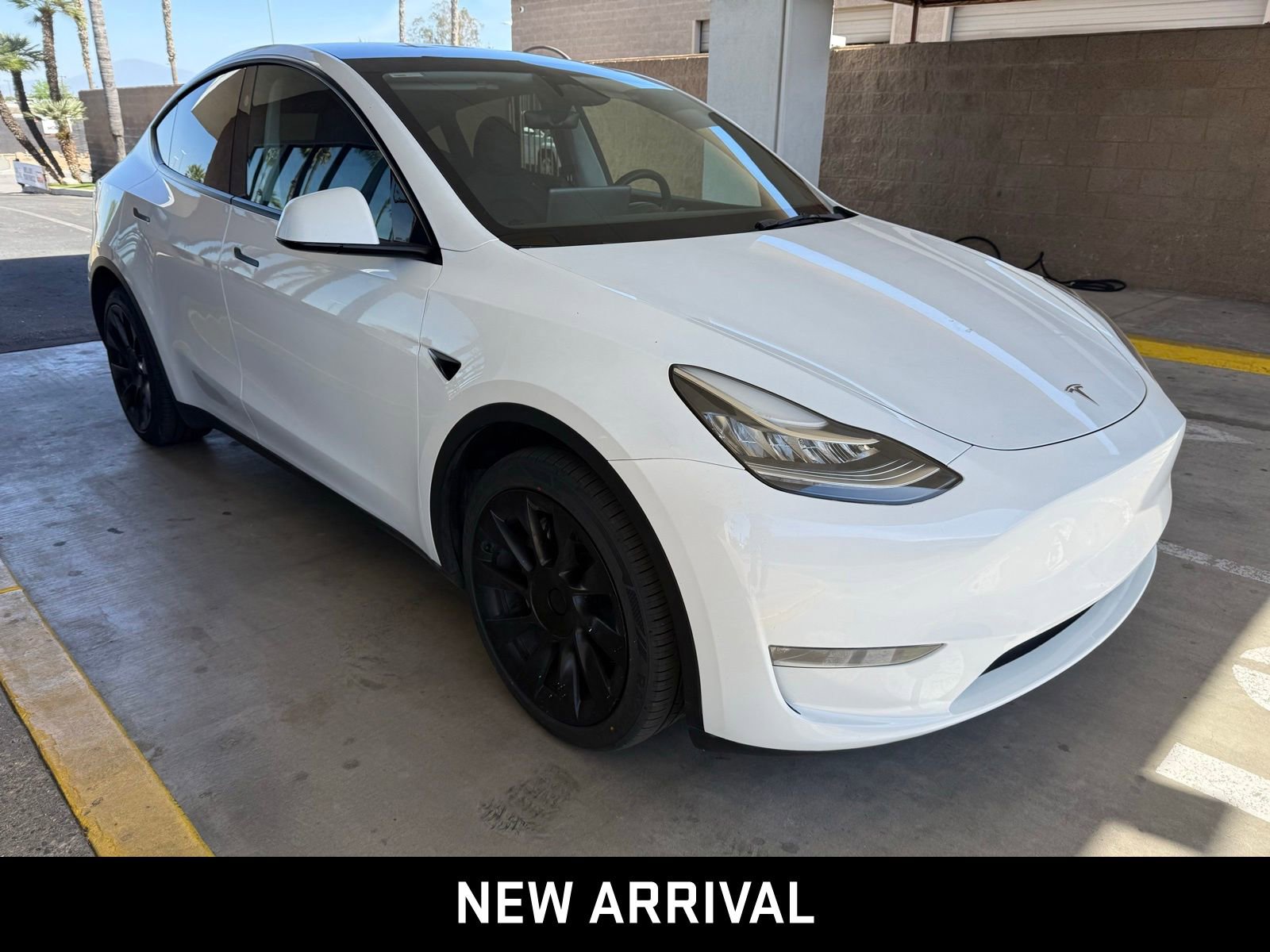 2023 Tesla Model Y Long Range photo 6
