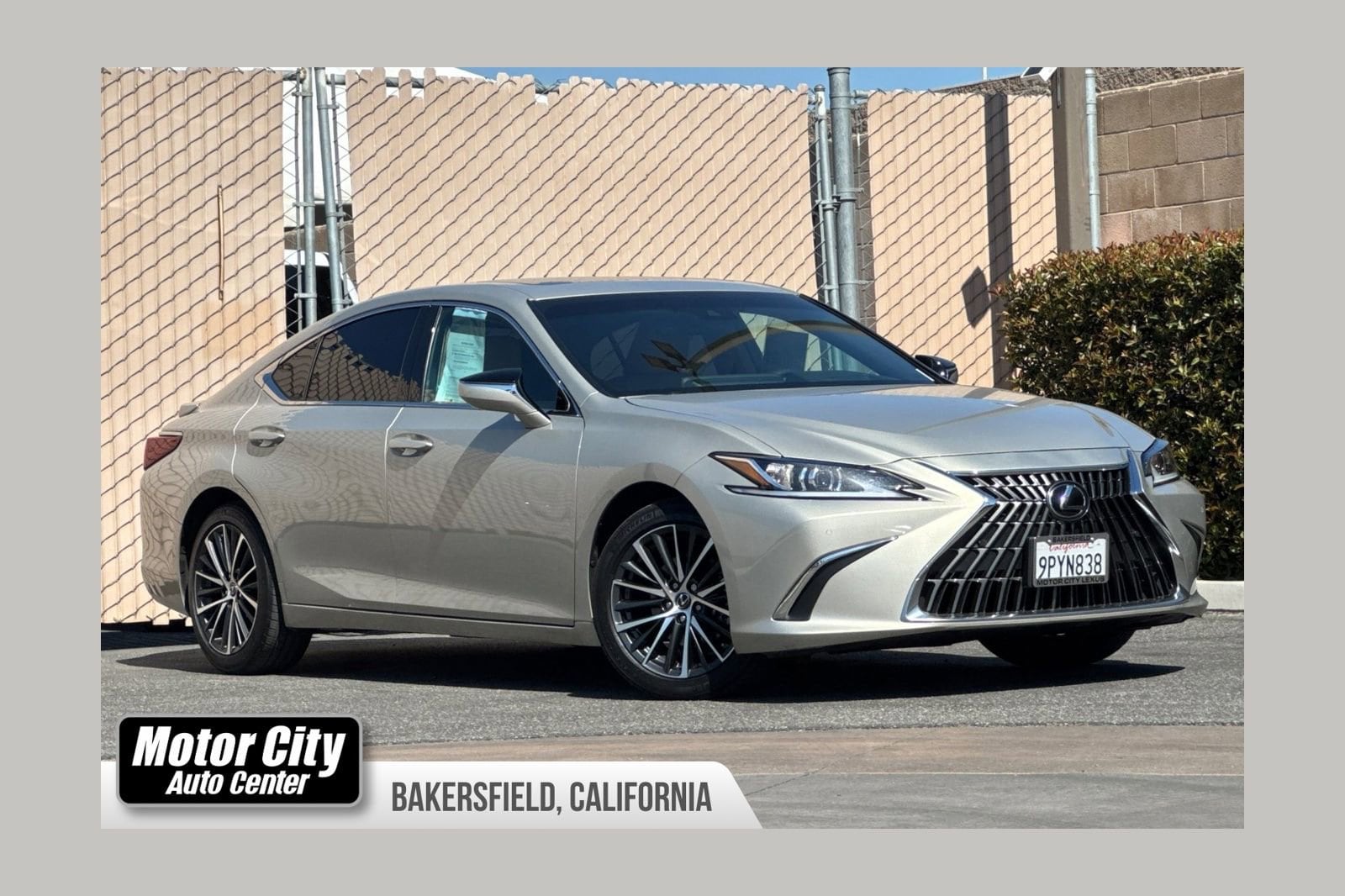 2025 Lexus ES 300h 300h's photo