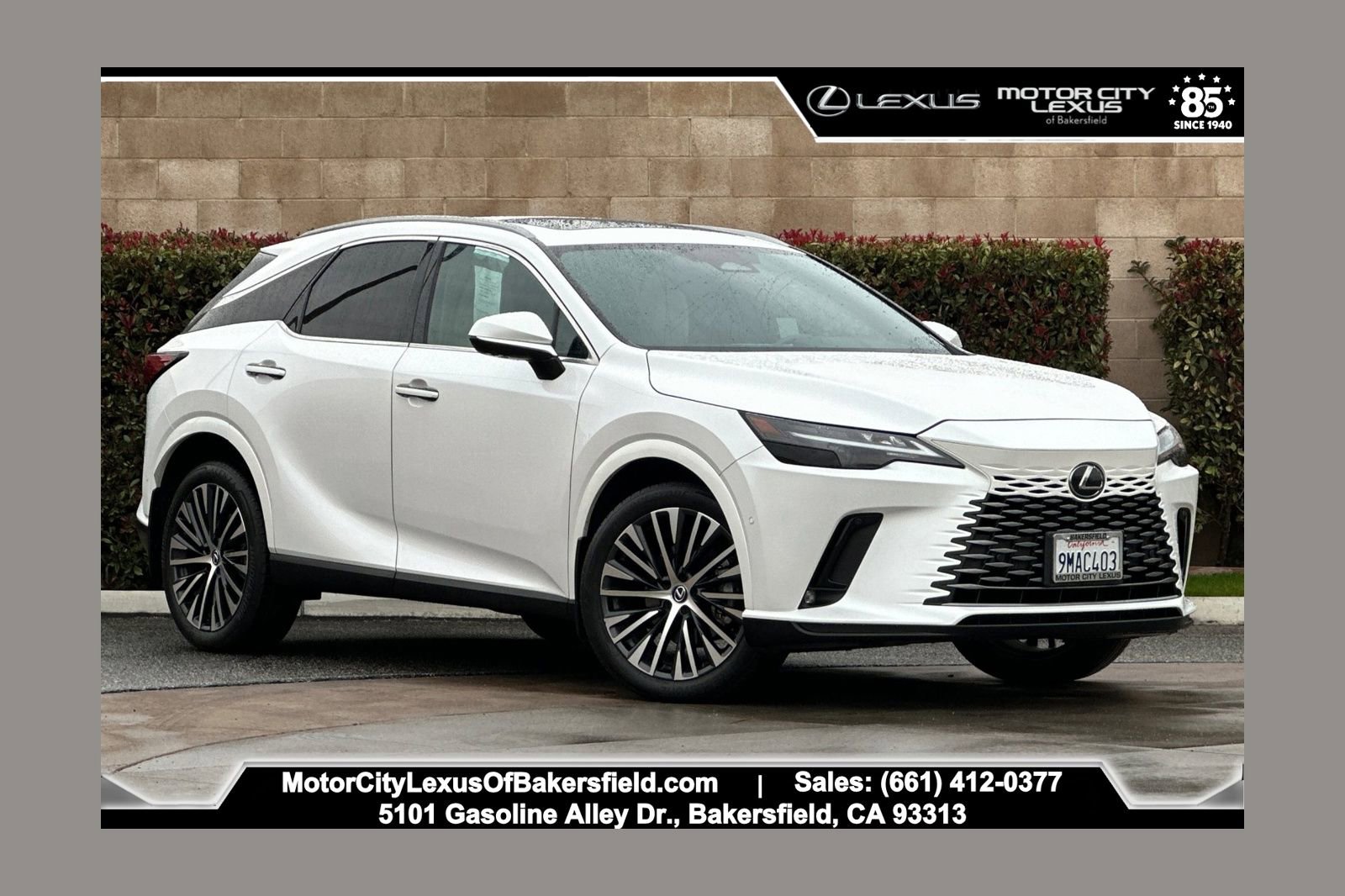 2024 Lexus RX 350's photo