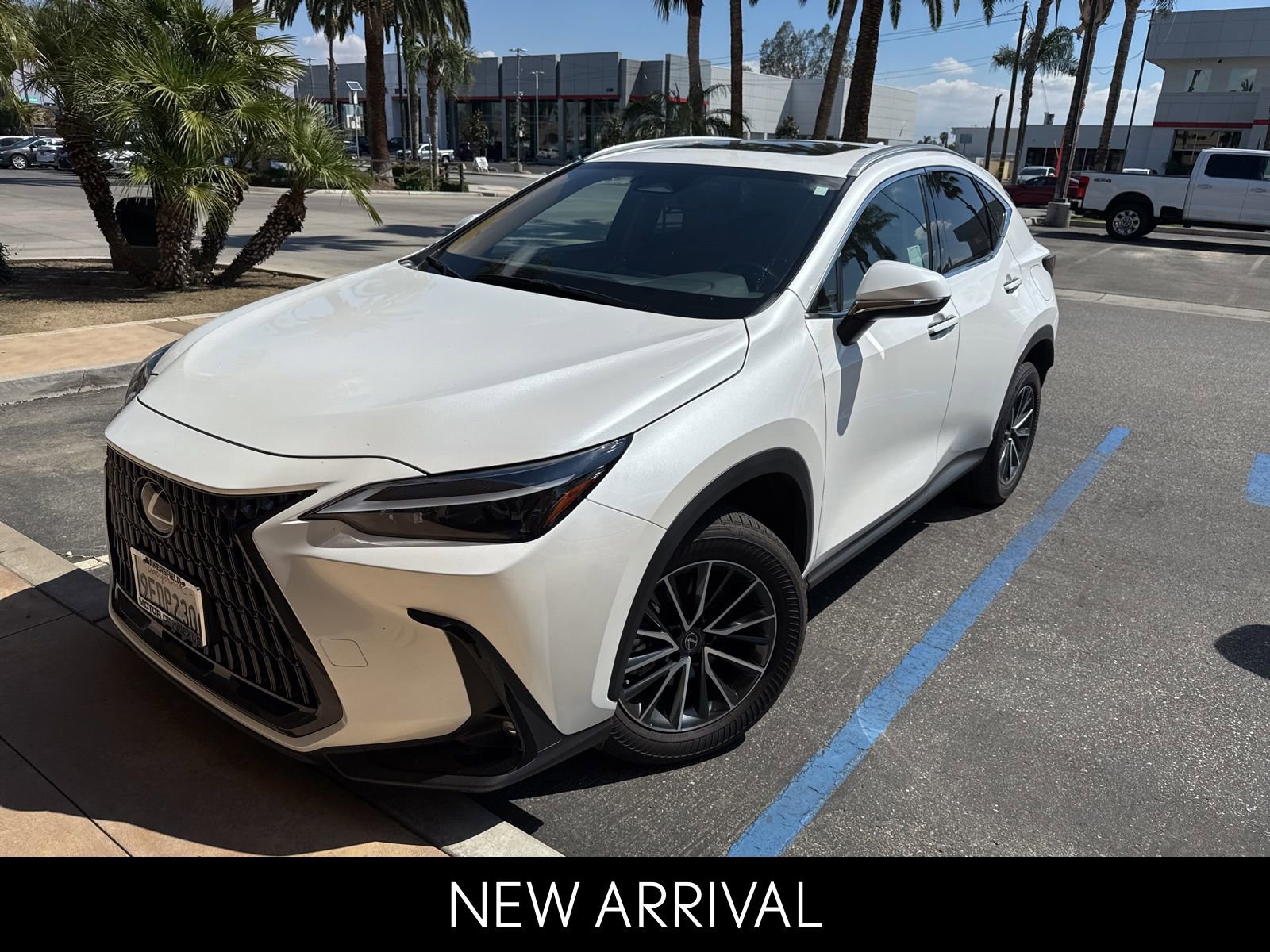 2023 Lexus NX 350 350 AWD's photo