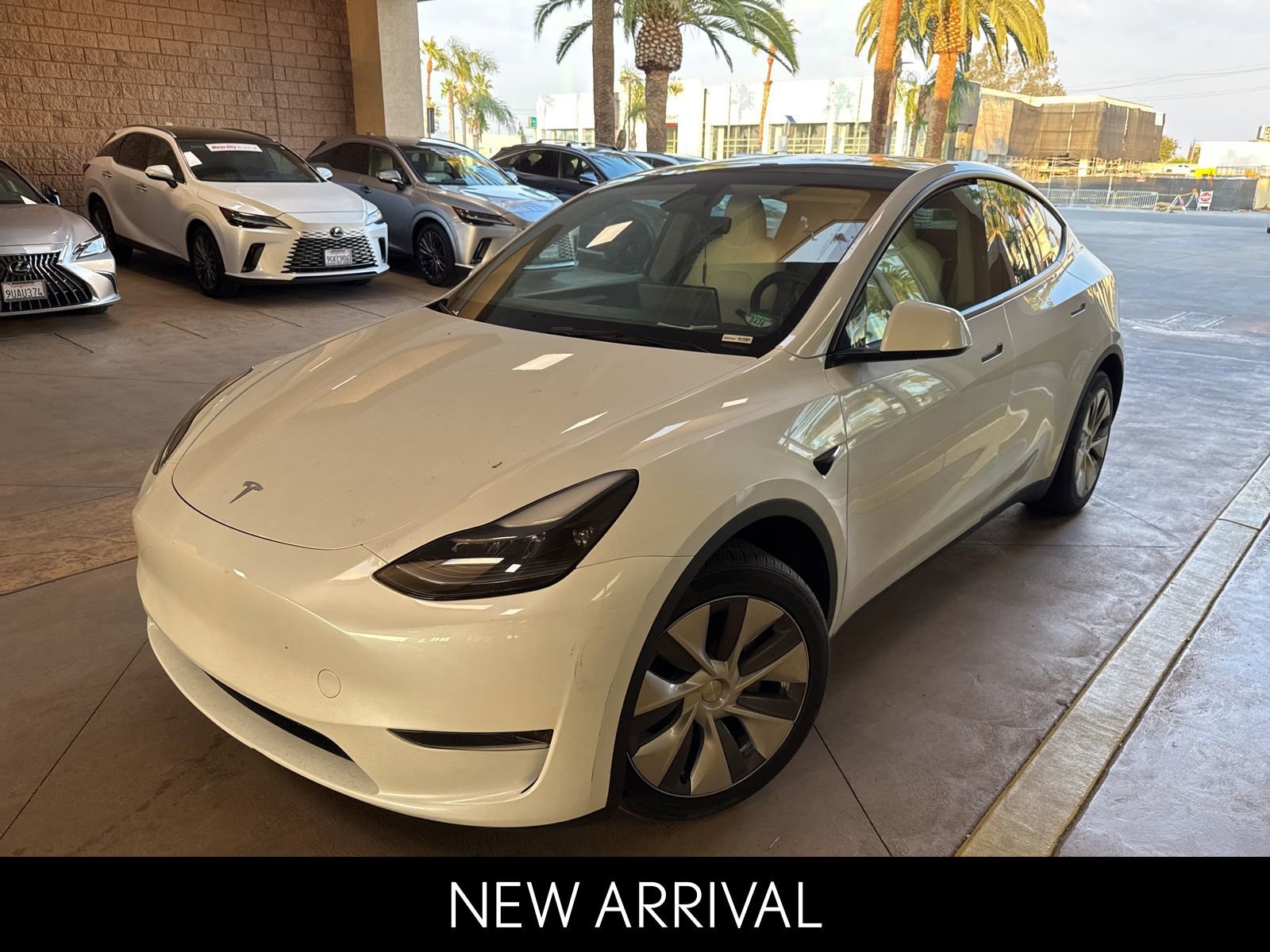 2024 Tesla Model Y Long Range