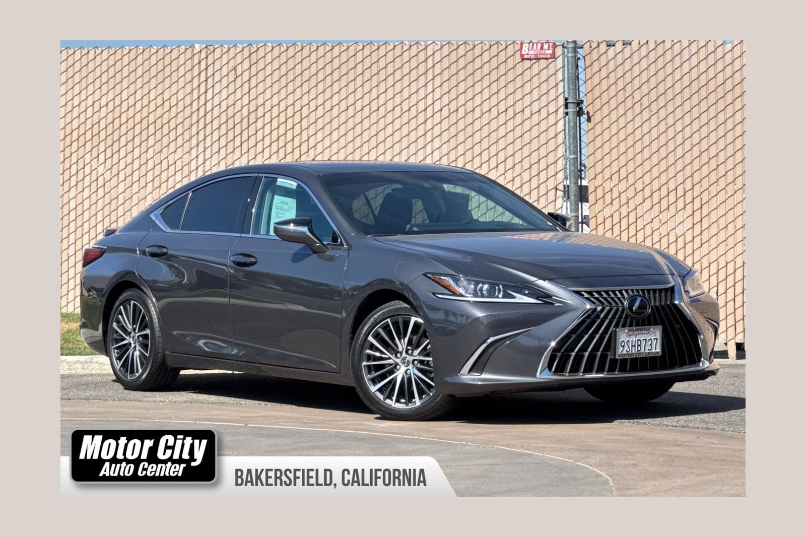 2025 Lexus ES 300h 300h's photo