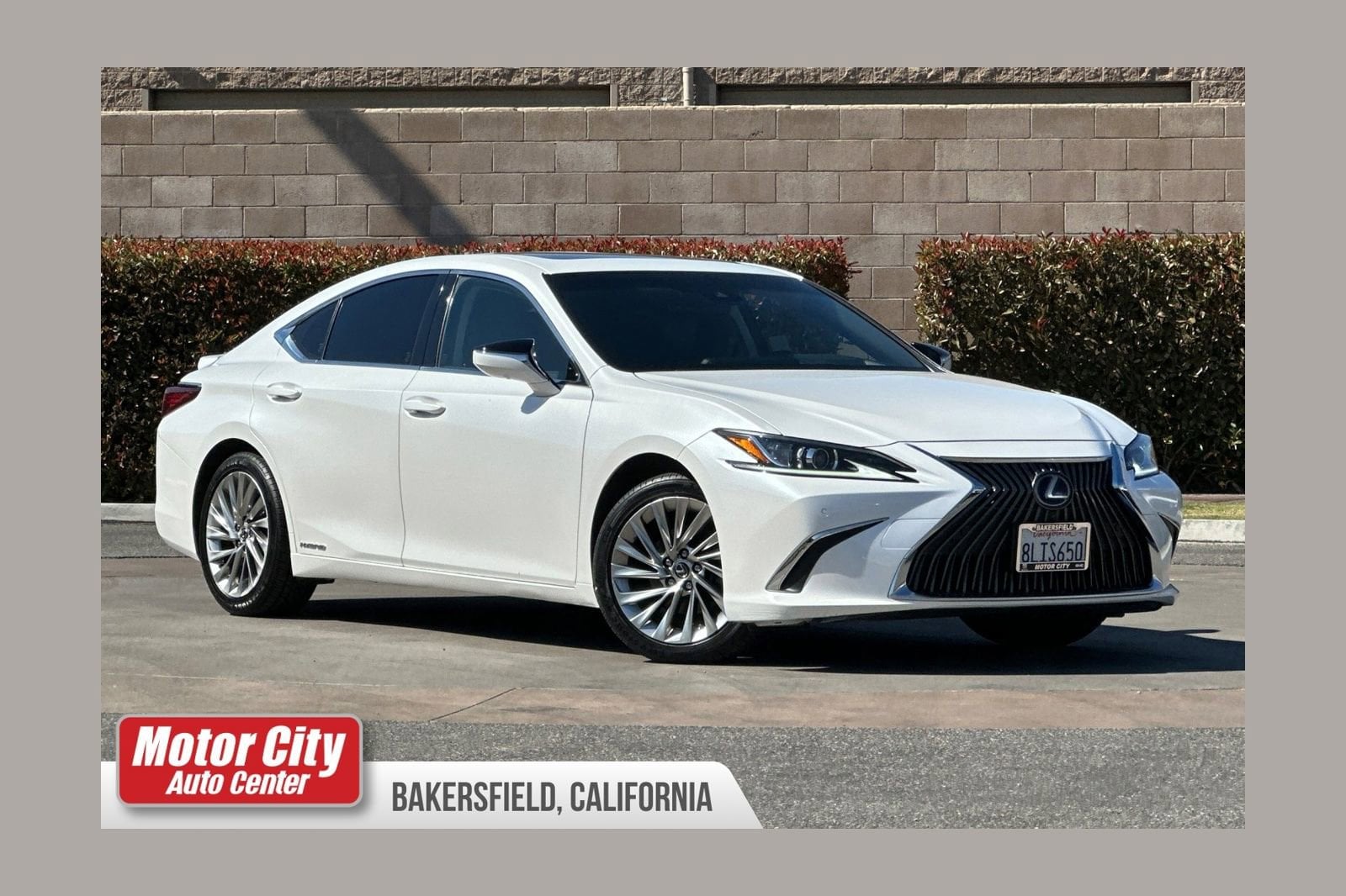 2019 Lexus ES 300h 300h Luxury's photo