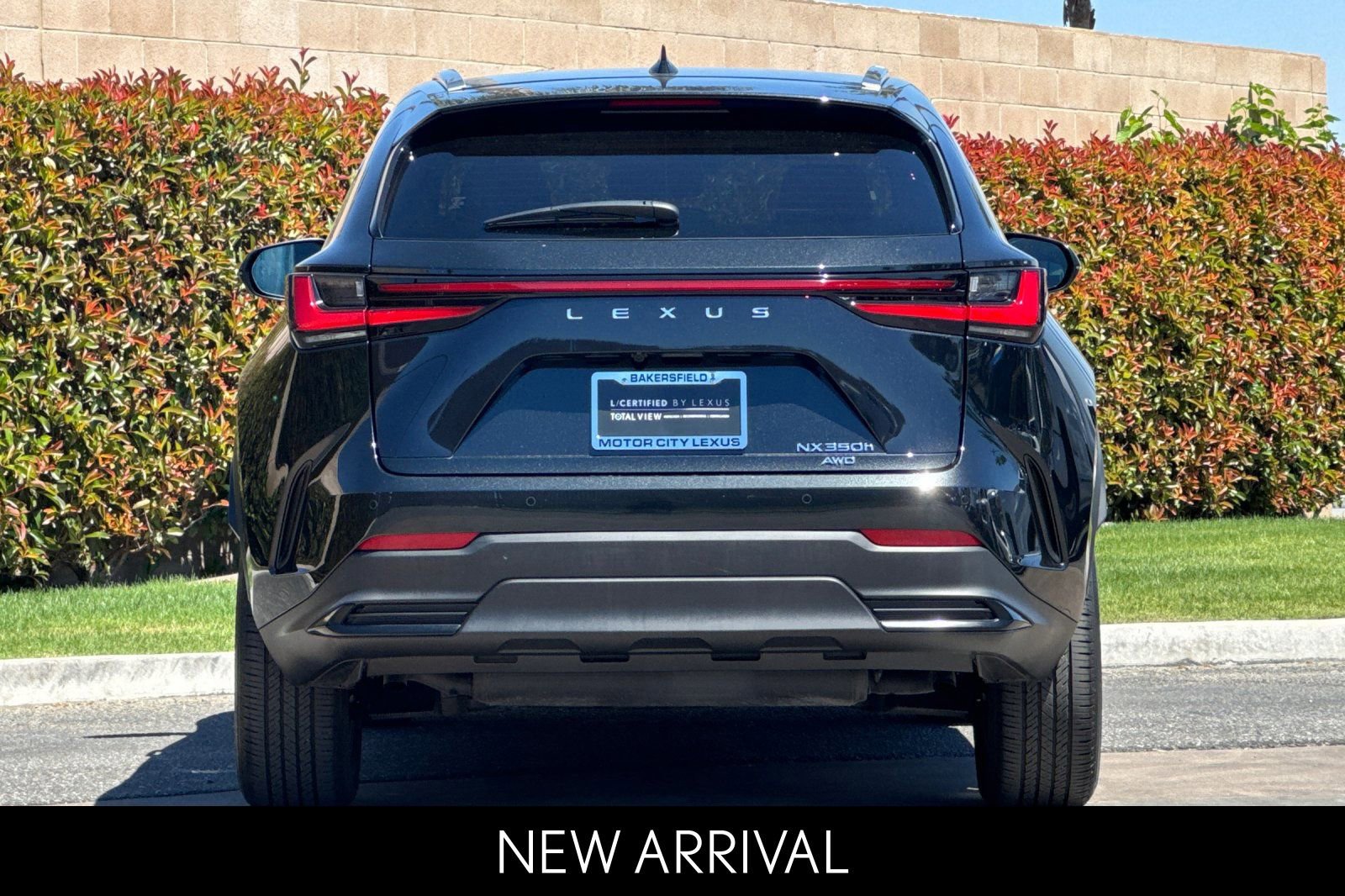 2025 LEXUS NX NX 350h Premium photo 4