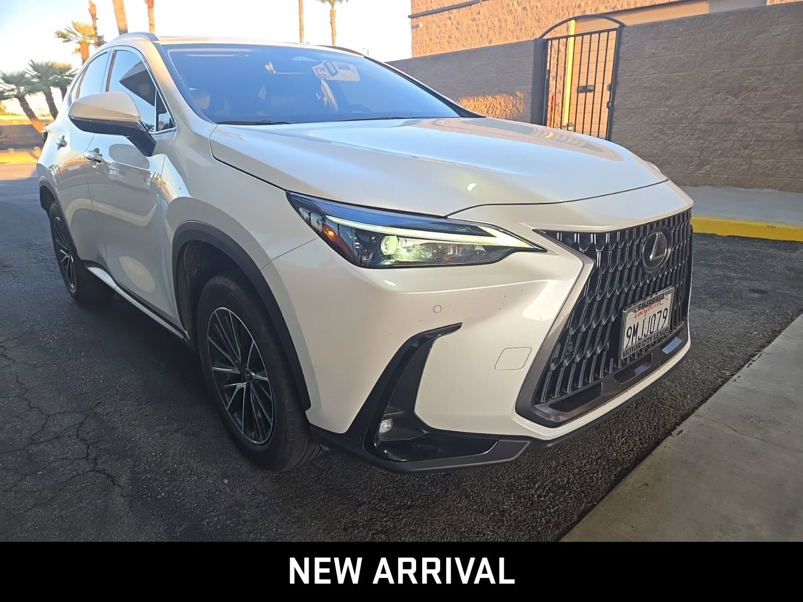 2025 LEXUS NX NX 250 photo 3