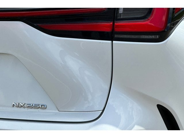 2025 Lexus NX 250 - Photo 28