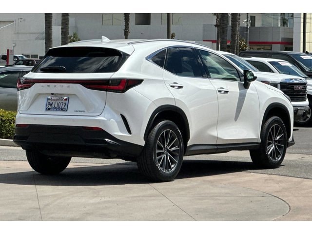 2025 Lexus NX 250 - Photo 4