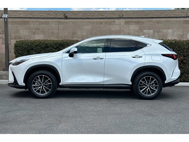 2025 Lexus NX 250 - Photo 7