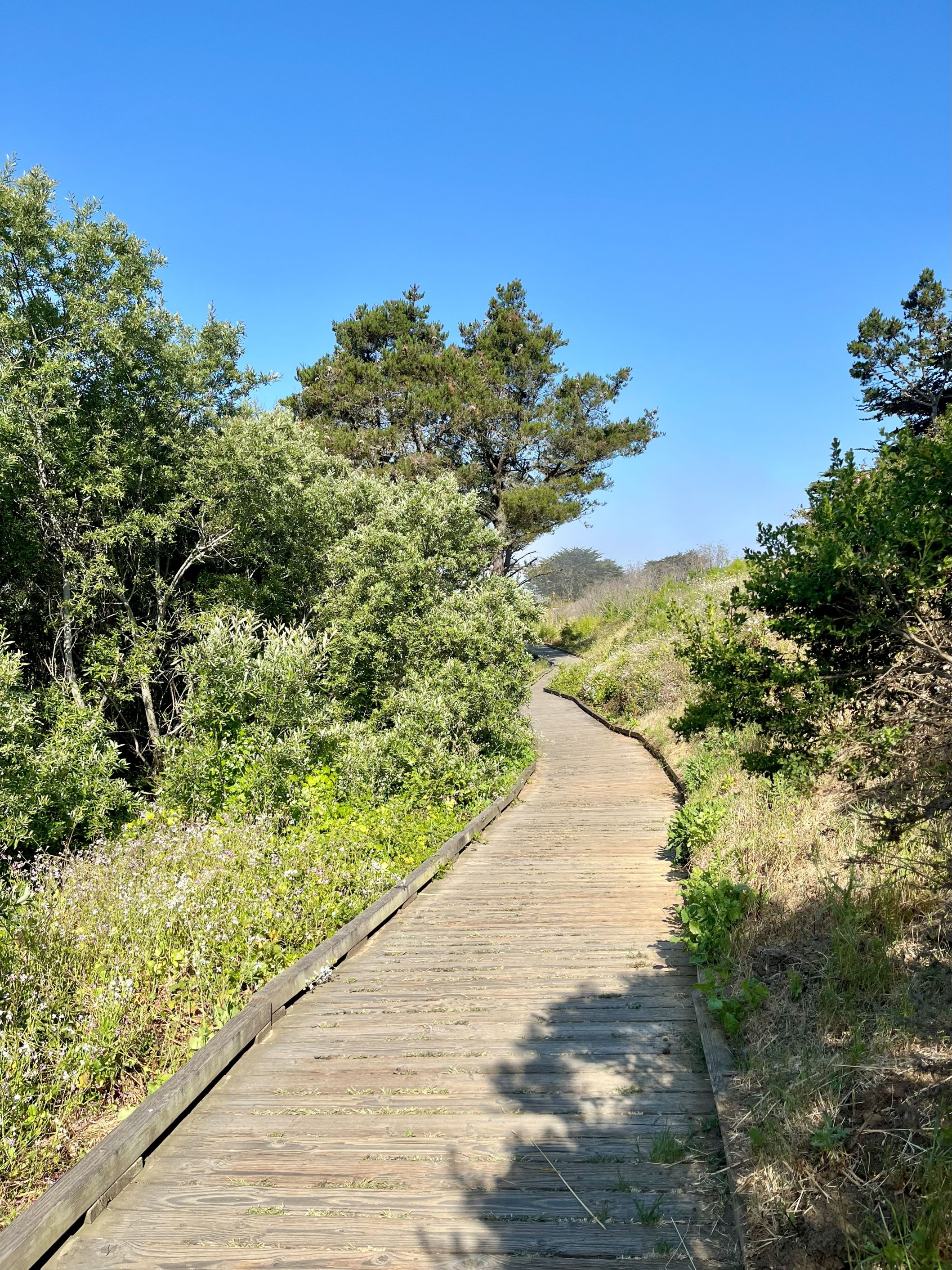 Moonstone%20boardwalk_vertical.jpg