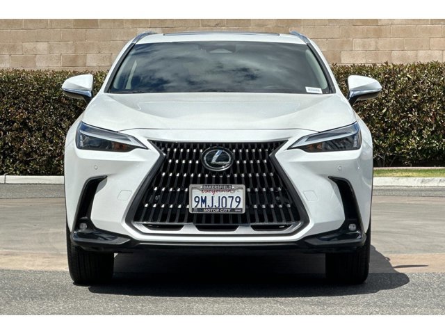 2025 Lexus NX 250 - Photo 9