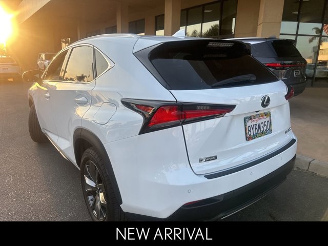 2021 Lexus NX 300 F SPORT photo 3
