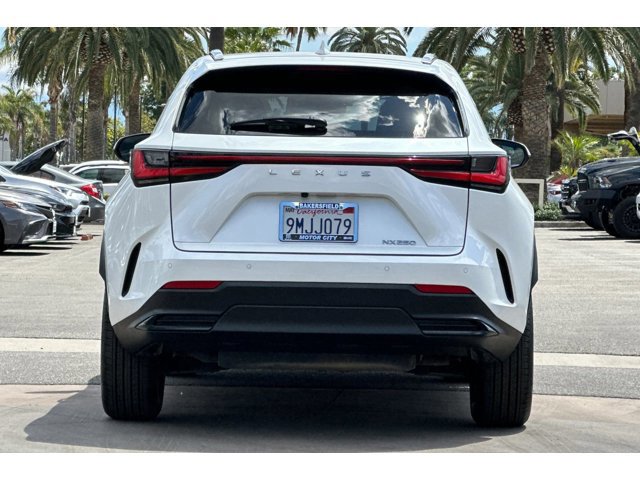 2025 Lexus NX 250 - Photo 5