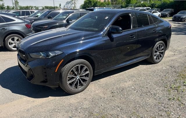 2025 BMW X6 M60i's photo