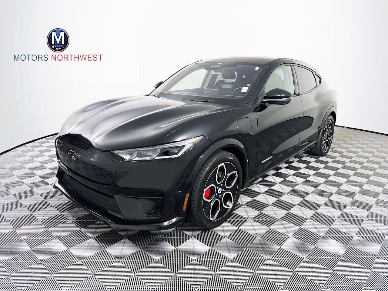2023 Ford Mustang-Mach-e GT's photo