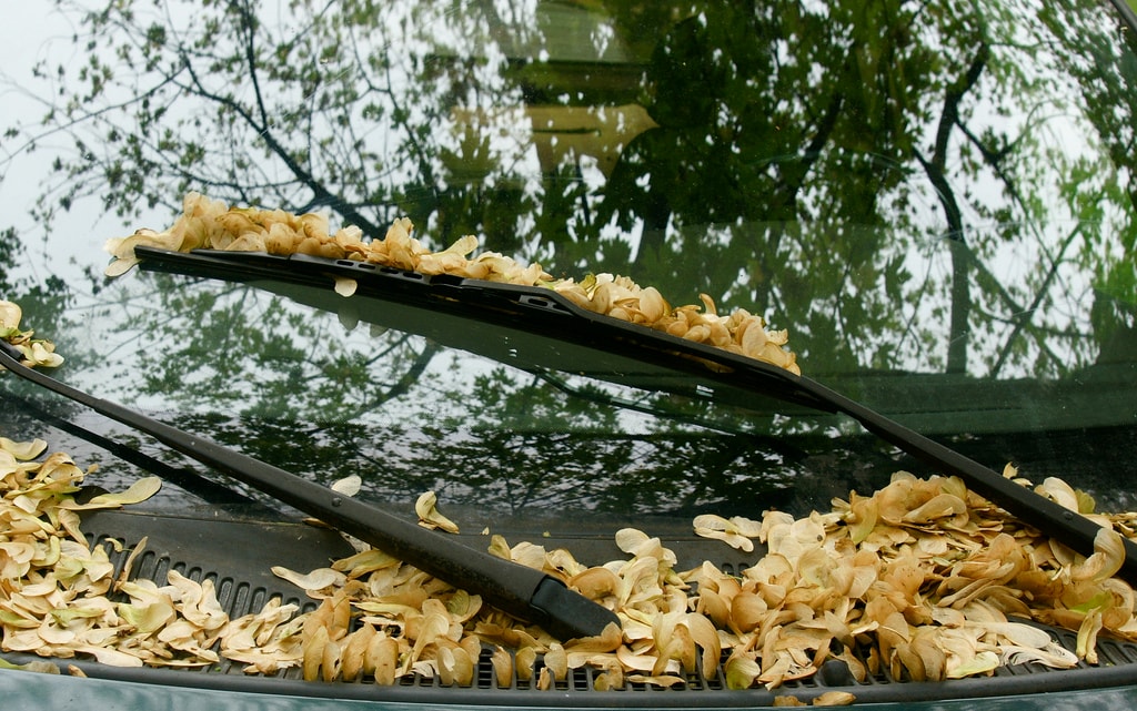 Wiper Blades.jpg