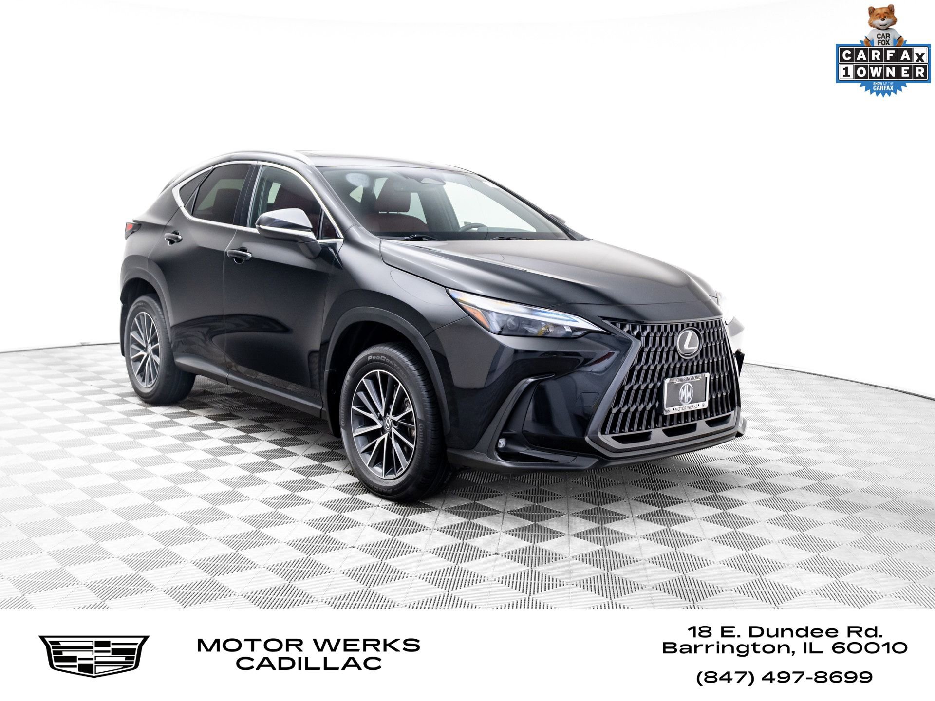 2024 Lexus NX Hybrid 350h's photo
