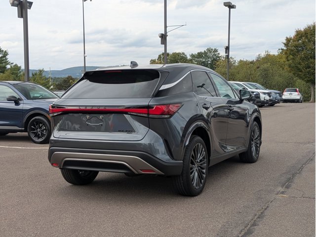 2025 Lexus RX 350 Luxury photo 4