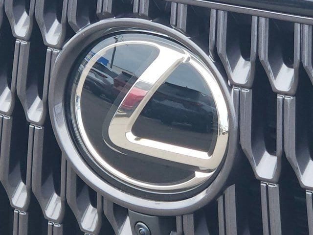 2026 Lexus NX 450h+ Luxury - Photo 24