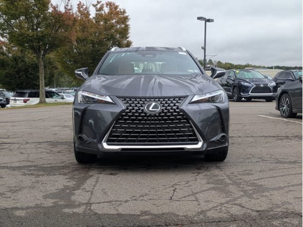 New 2025 Lexus UX 300h PREMIUM AWD Sport Utility