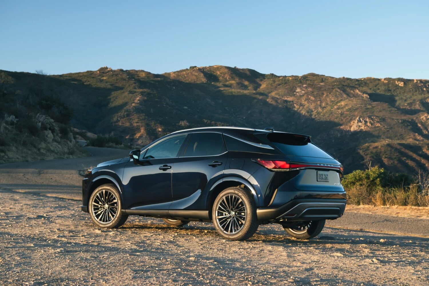2026 Lexus RX in a field