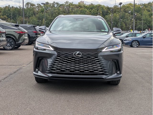 2025 Lexus RX 350 Luxury photo 2