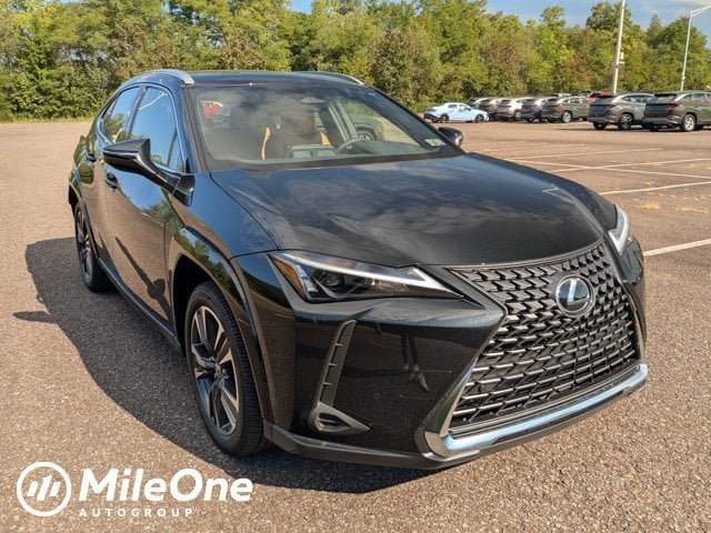 2025 Lexus UX 300h PREMIUM AWD