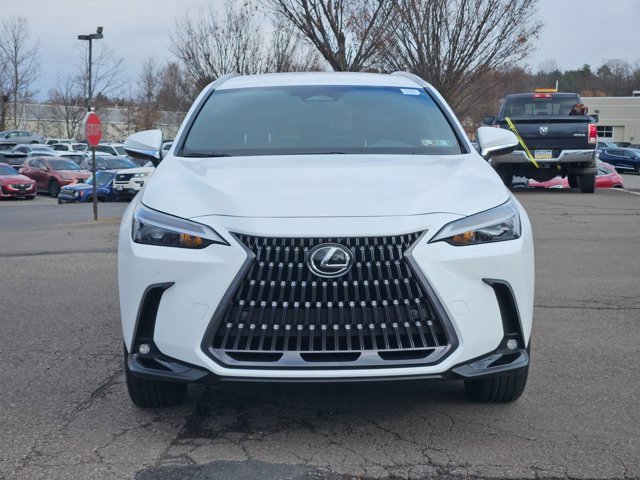 2026 Lexus NX 350 photo 2