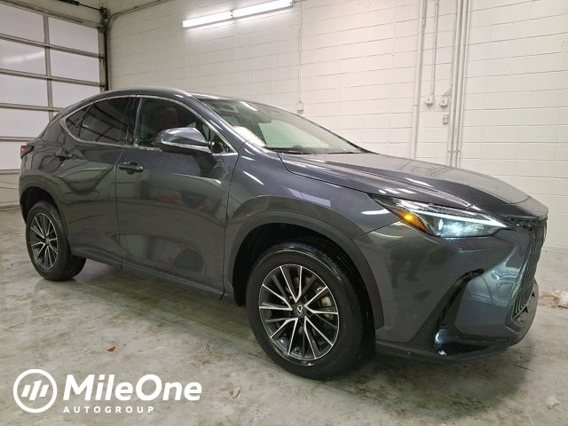 2023 Lexus NX 350's photo