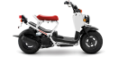 Honda - Ruckus(Blanc) Honda - Ruckus(Blanc)