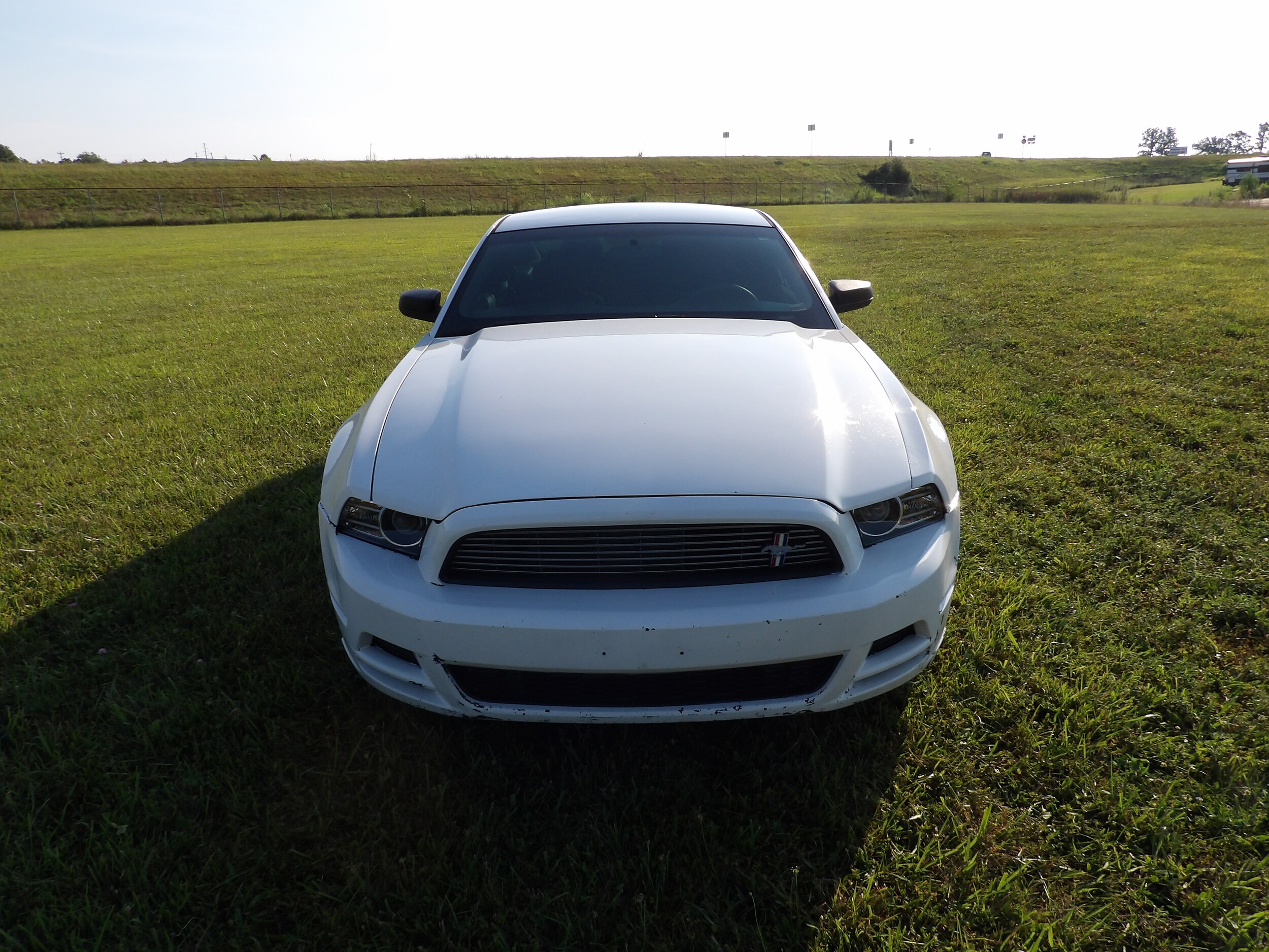 2014 Ford Mustang V6 photo 4