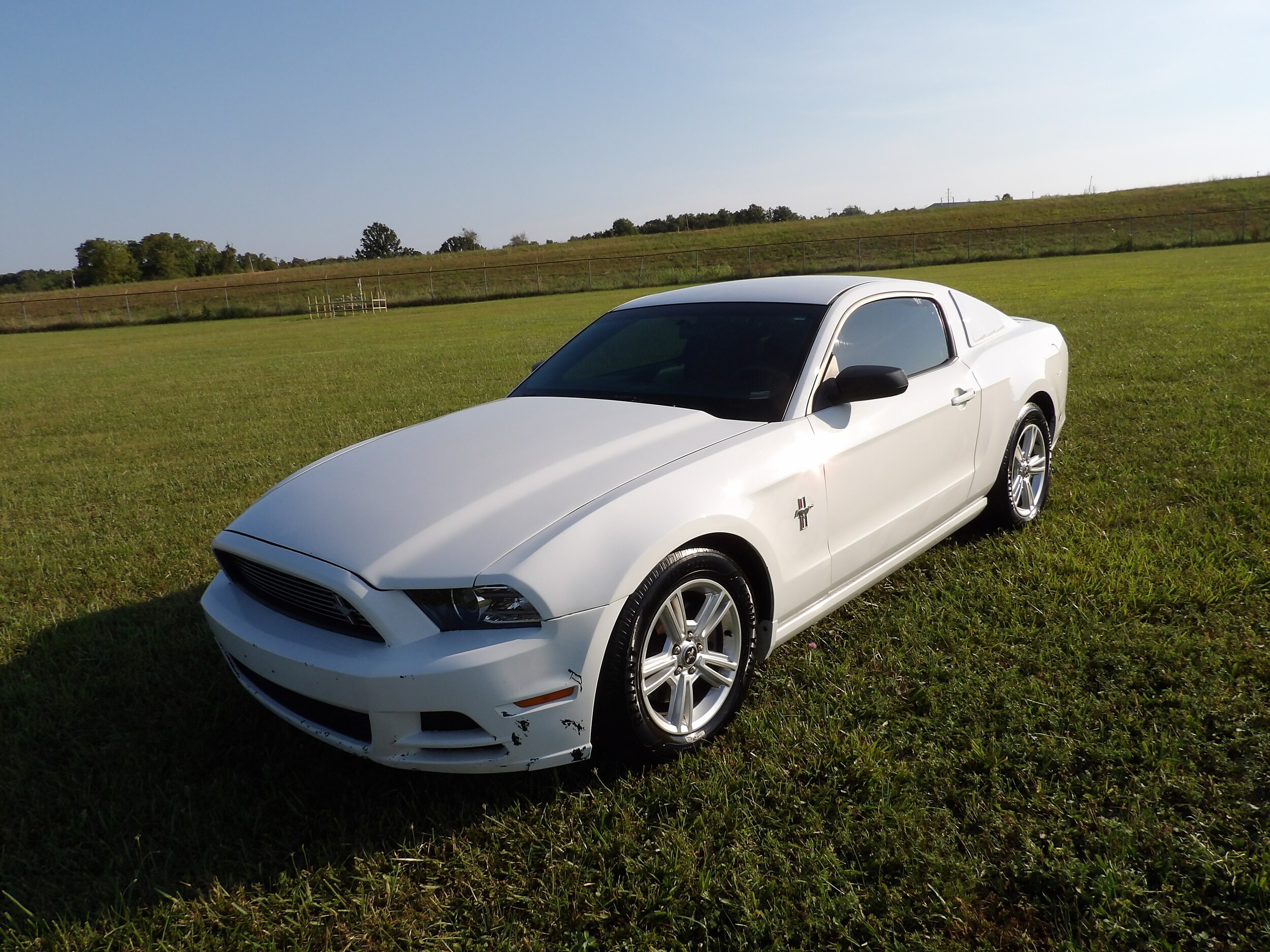 2014 Ford Mustang V6 photo 3