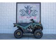 Kawasaki KVF300CSFNN