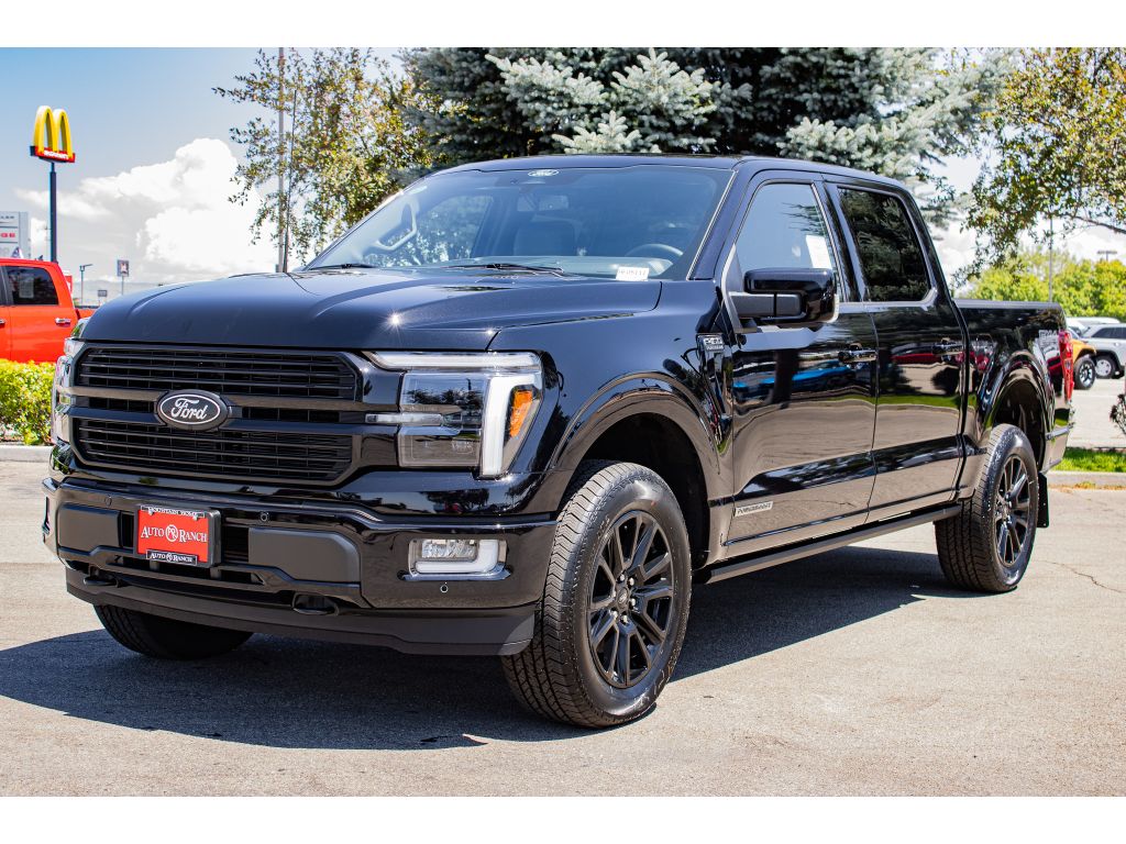 2025 Ford F-150 Platinum photo 3