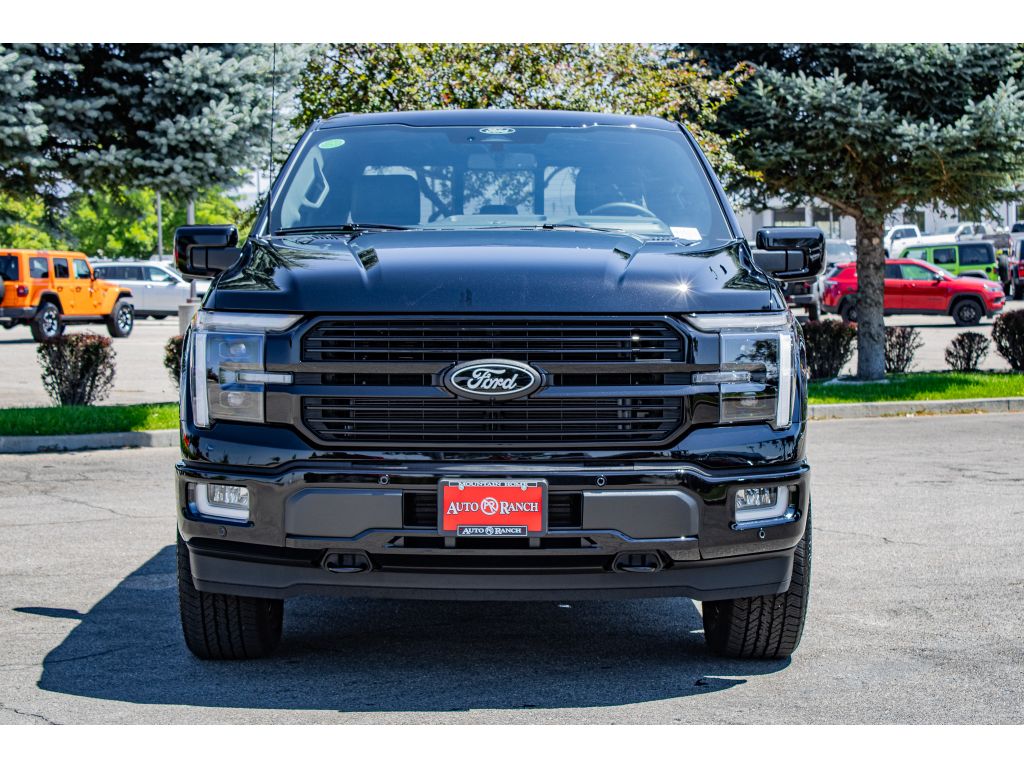 2025 Ford F-150 Platinum photo 2