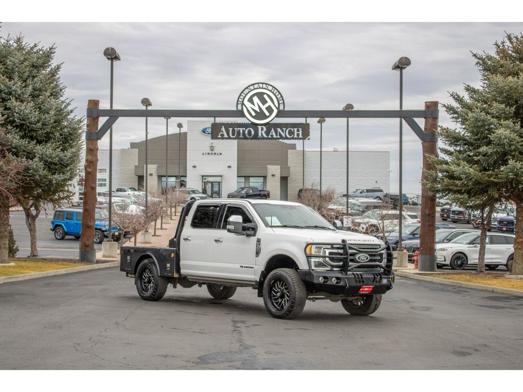 2020 Ford F-350 Super Duty Platinum's photo