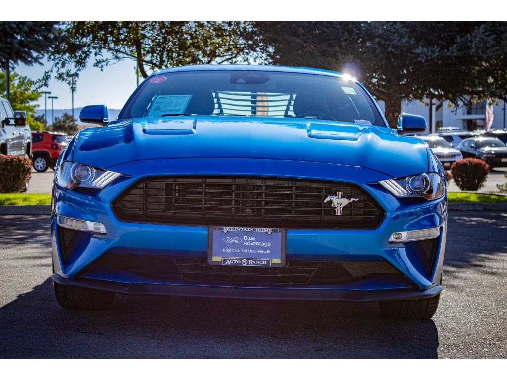 2021 Ford Mustang GT Premium photo 3