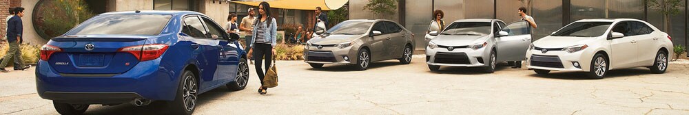 Corollas.jpg