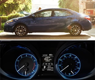 Corolla-detail.jpg