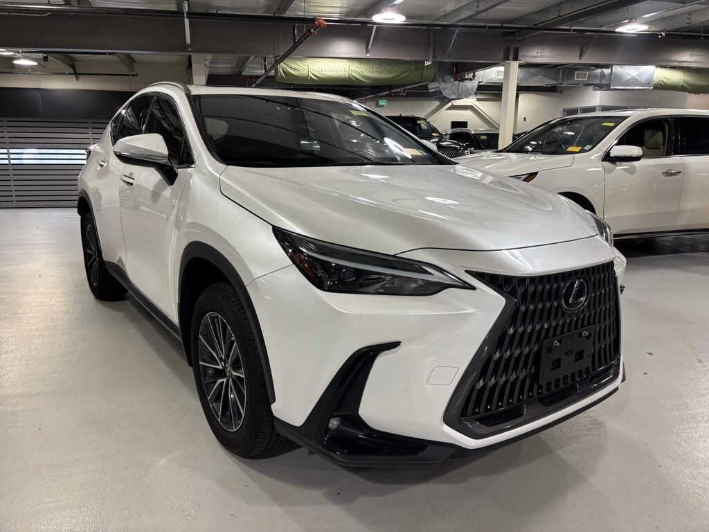 2023 Lexus NX 350h photo 2