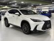 2025 LEXUS NX 350 Base SUV