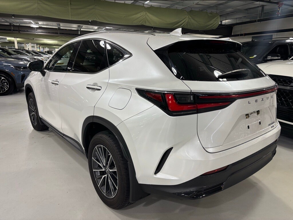 2023 Lexus NX 350h photo 3