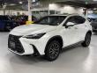2025 LEXUS NX 350 Base SUV
