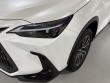 2025 LEXUS NX 350 Base SUV