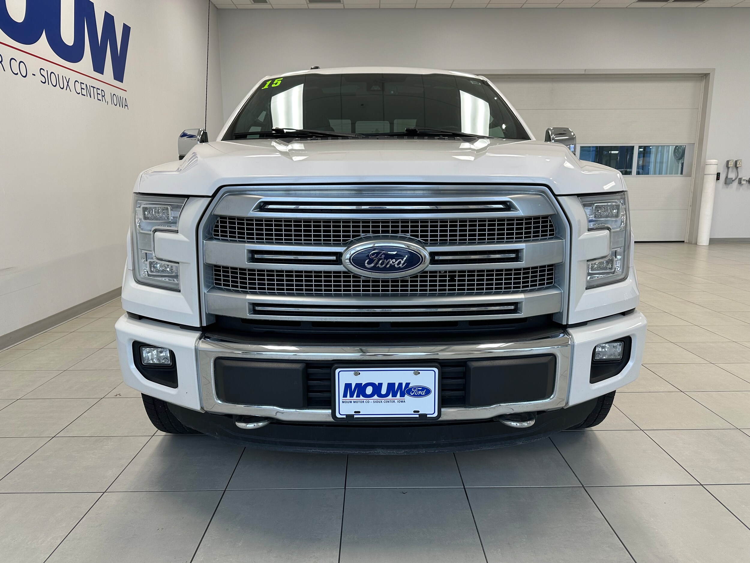 2015 Ford F-150 Platinum photo 3