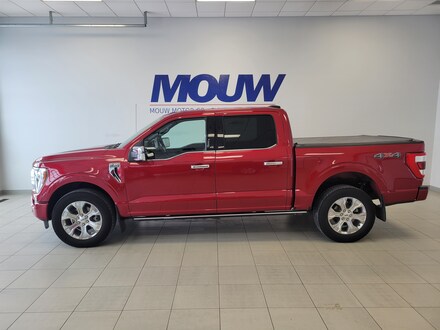 2022 Ford F-150 Platinum Pickup