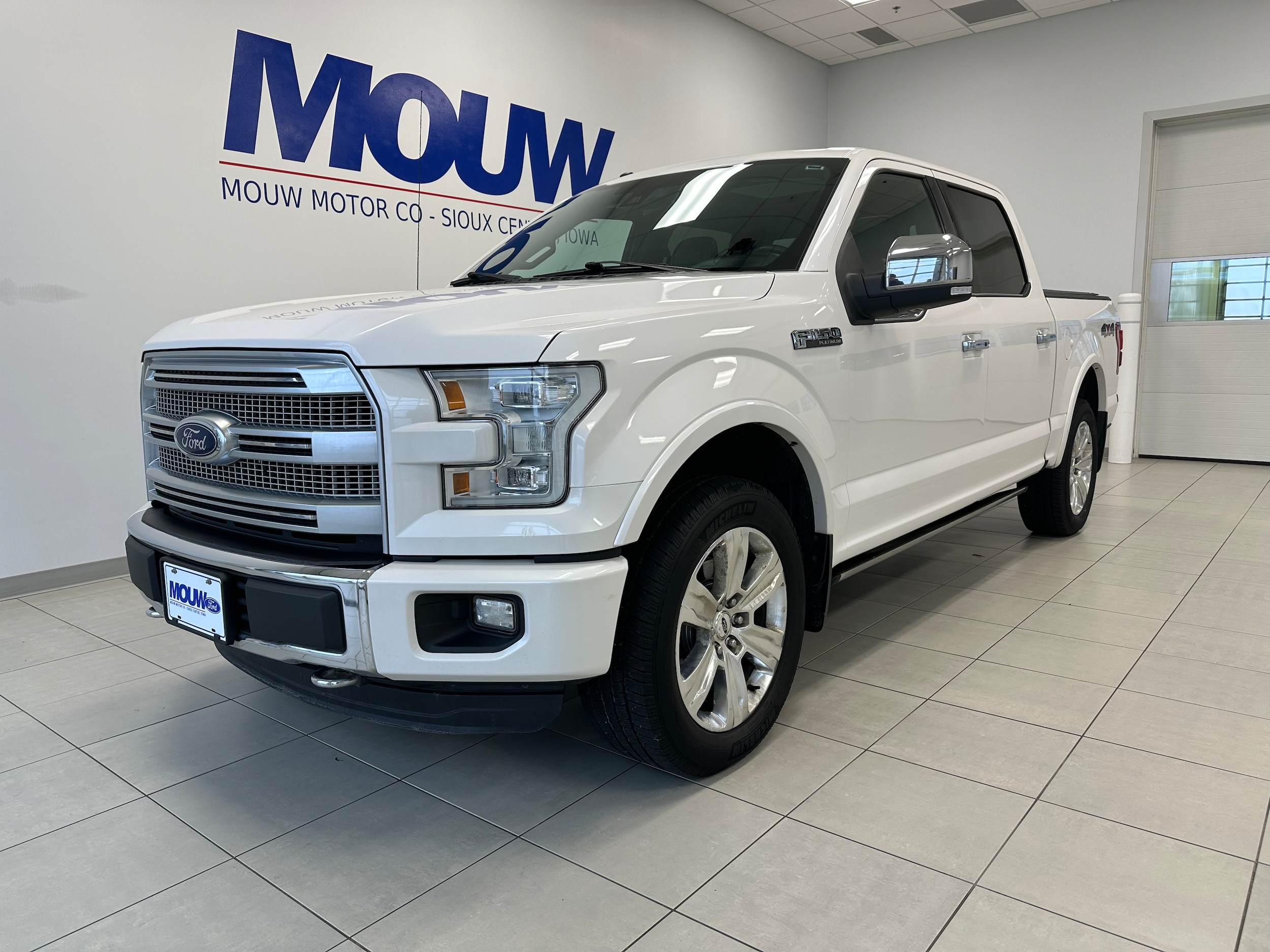 2015 Ford F-150 Platinum photo 2